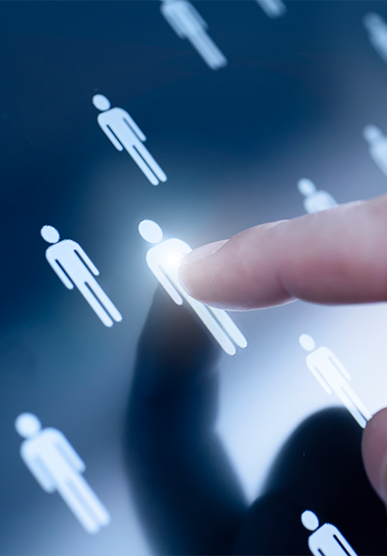 HCM Consulting